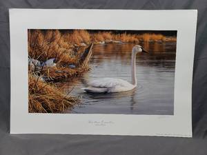 lot 54 image: Spring Time - Trumpeter Swans by James Hautman Number 11202200