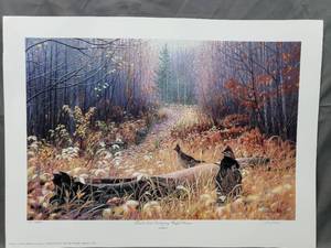 lot 55 image: Trails End Sanctuary - Ruffed Grouse by Jim Kasper
