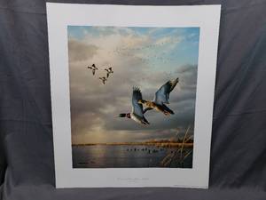 lot 57 image: Sundown at Delta Marsh - Mallards by Jim Hautman Number 408750