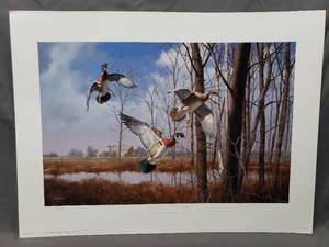 lot 63 image: Home Again - Wood Ducks by David A. Maass Number 9892000