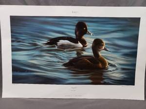 lot 84 image: Ringbills by Karen Latham Number 22595000