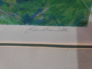 lot 106 image: Lake or River Overlook Scene #62295