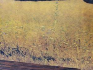 lot 124 image: Picture of a Black Stallion on Wood