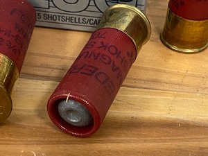 (5) Rounds 12-Gauge Slugs