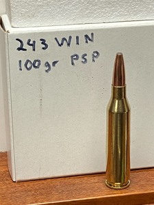 lot 47 image: (20) Rounds Of .243-Winchester -- 1...