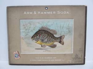 lot 156 image: Early 1900s ARM & HAMMER Baking Soda Church & Co Fish Series SUN FISH Trading Cards Store Display Sign