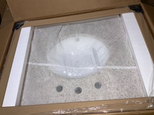 lot 65 image: HOME DECORATORS COLLECTION NEWPORT 31 IN. W X 21.50 IN. D BATH VANITY IN IVORY WITH GRANITE VANITY TOP IN CHAMPAGNE WITH WHITE SINK. SEE PICTURES