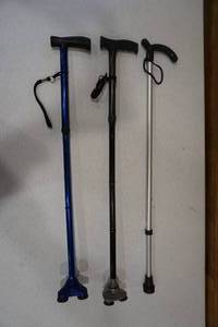lot 113 image: Canes
