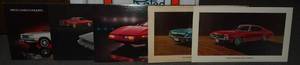 lot 35 image: ChevroletVega Dealership Vehicle Signs