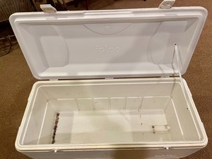 lot 88 image: Large Igloo Cooler
