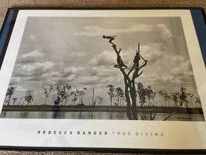 lot 114 image: Rebecca Barger Tree Diving Framed ArtPrint