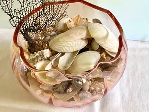 lot 33 image: Pink Depression Bowl filled with Seashells