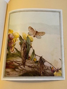 lot 227 image: Wonderful Antique Book Fabres Book of Insects