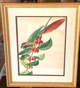 lot 45 image: Three Vintage Bird Themed Prints