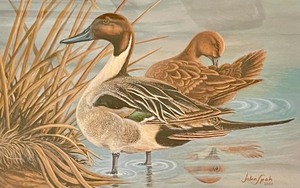 lot 273 image: Artist Proof Romeo by John Spah