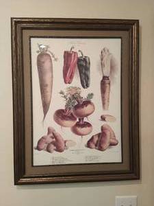 lot 15 image: Vintage Framed Botanical Illustration