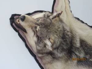 lot 47 image: Wolf Rug