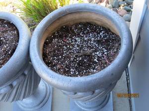 lot 176 image: Garden Urns
