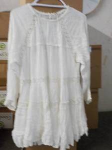 Box of 25 Free People Dresses with ...