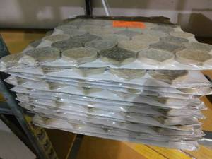lot 80 image: Crushed Sunset Cream 10.75 in. x 11 in. Arabesque Glossy Ceramic and Glass Mosaic Tile (10.6 sq. ft.)