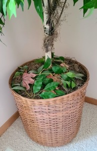 lot 43 image: Large Potted Faux Foliage