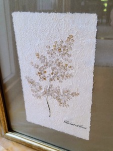 lot 51 image: Pair of Framed Dried And Pressed Foliage