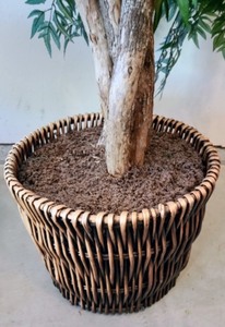 lot 62 image: Large Potted Faux Tree