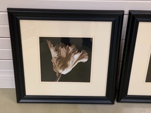 Two Black and White Floral Prints