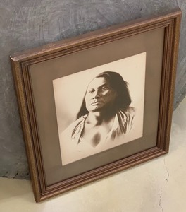 D.F. Barry Native American Print of Chief Gall