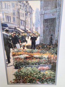 Framed Scenic Print