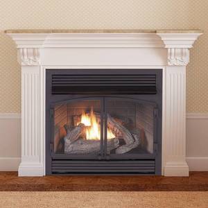 lot 228 image: Duluth Forge Dual Fuel Ventless Gas Fireplace with Insert - 32,000 BTU, Remote Control, FDF400RT-ZC. - HOLE IN MESH OF RIGHT DOOR.