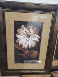 lot 161 image: Collection Of Framed Floral Art