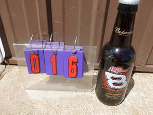 lot 16 image: Dale JR Budwesier glass bottle. 15 tall. As shown.