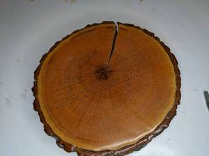 lot 268 image: Hand-Made Cribbage Board