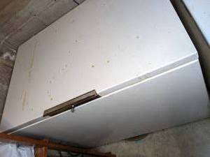 lot 8 image: White Chest Freezer 44w x 29d x 36t