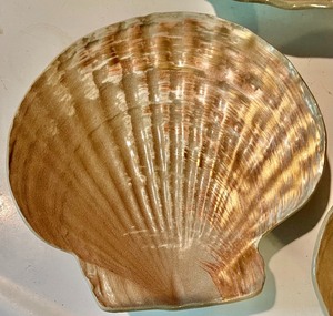 lot 178 image: Small Shell Shaped Plates
