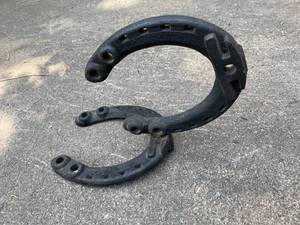lot 260 image: Fun Wall Mount Horse Shoe Hanger
