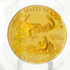 lot 0B image: 1987 P $25 American Gold Eagle PCGS PR69 DCAM