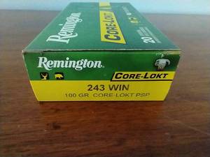 lot 21 image: 20 Rounds .243 Core-Lokt Ammunition
