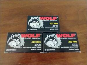lot 31 image: 60 Rounds .223 FMJ Ammunition