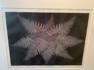 lot 43 image: Framed Art (Woodcut) Entitled Fern on Black by Jacques Hnizdovsky (1915- 1985)