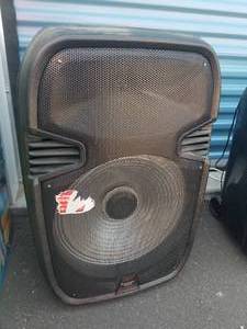 300 Watt PA Speaker