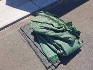 3 indooroutdoor rugs