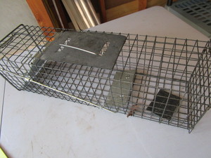 lot 149 image: Live trap 24x7.5x7.5...