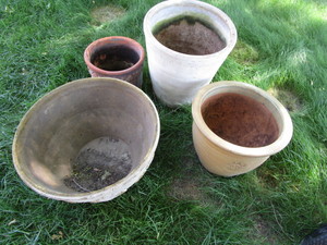 lot 208 image: Planter pots 3 pottery, one plasti...