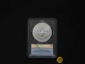 2019 American Silver Eagle PCGS MS69 PCGS Price Guide is $49.00
