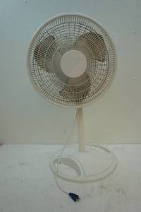 Fan