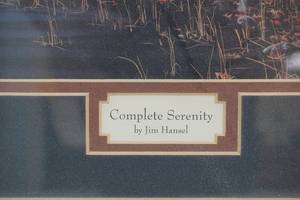 Jim Hanzel framed print