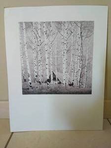 lot 152 image: Birch Tree  Print