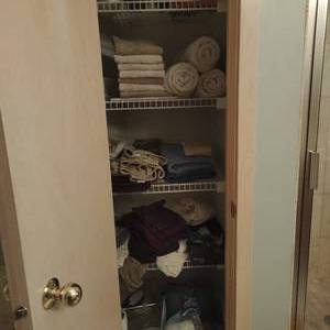 lot 253 image: Contents of Bathroom Closet